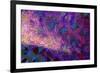 Enlightenment-Scott J. Davis-Framed Giclee Print