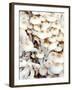 Enokitake Mushrooms-Ming Tang-evans-Framed Photographic Print