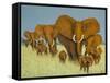 Enormous But Caring-Pat Scott-Framed Stretched Canvas