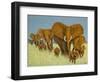 Enormous But Caring-Pat Scott-Framed Giclee Print