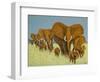 Enormous But Caring-Pat Scott-Framed Giclee Print