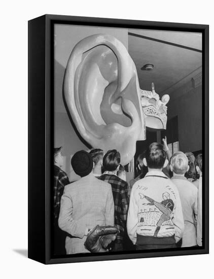 Enormous Ear on Display at Dallas Health Museum Demonstrates to Students How Sense of Balance Works-Michael Rougier-Framed Stretched Canvas