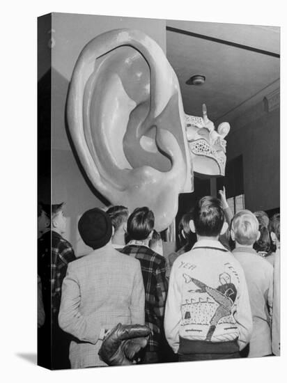 Enormous Ear on Display at Dallas Health Museum Demonstrates to Students How Sense of Balance Works-Michael Rougier-Stretched Canvas