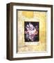 Enquadro III-F^ Potter-Framed Art Print