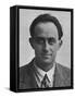 Enrico Fermi -1929-null-Framed Stretched Canvas