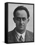 Enrico Fermi -1929-null-Framed Stretched Canvas