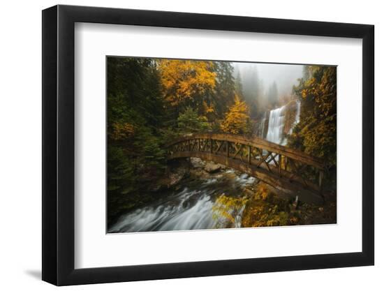 Premium Photographic Print, , large