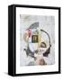 Framed Canvas