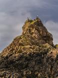 Bird rock on Jersey-enricocacciafotografie-Photographic Print