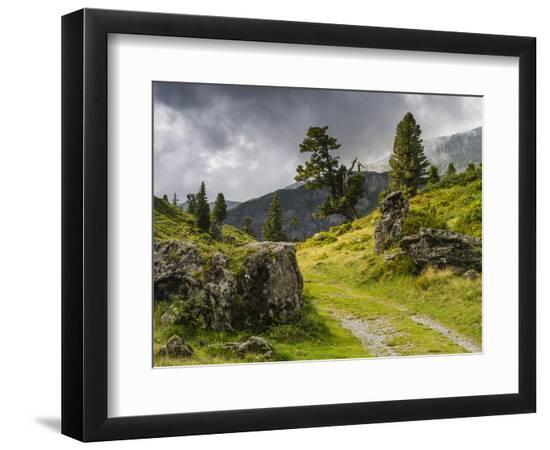 Premium Photographic Print, , large
