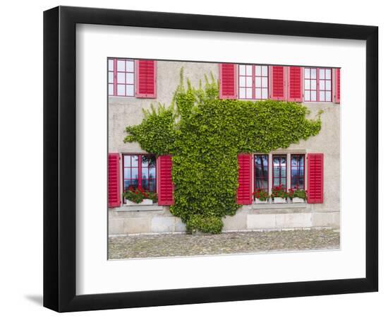 Premium Photographic Print, , large