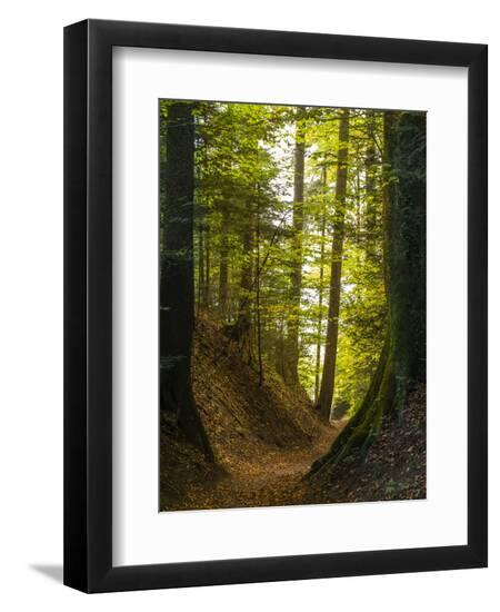 Premium Photographic Print, , large