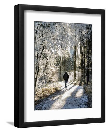 Premium Photographic Print, , large