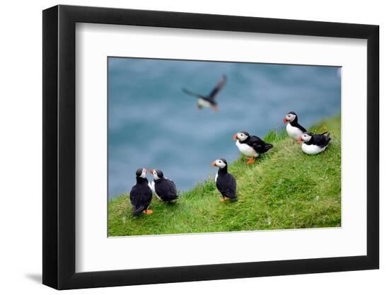 Premium Photographic Print, , large