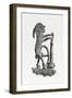 Enseigne de pélerinage : Singe apothicaire-null-Framed Giclee Print