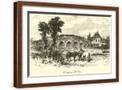 Brown Frame