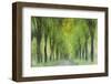 Entangled In Sunlight-Jacob Berghoef-Framed Photographic Print