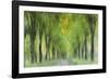 Entangled In Sunlight-Jacob Berghoef-Framed Photographic Print