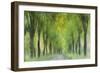 Entangled In Sunlight-Jacob Berghoef-Framed Photographic Print