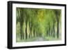 Entangled In Sunlight-Jacob Berghoef-Framed Photographic Print