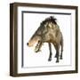 Entelodon, White Background-Stocktrek Images-Framed Art Print