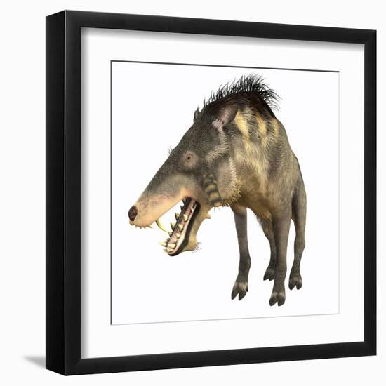 Entelodon, White Background-Stocktrek Images-Framed Art Print