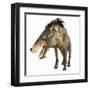 Entelodon, White Background-Stocktrek Images-Framed Art Print