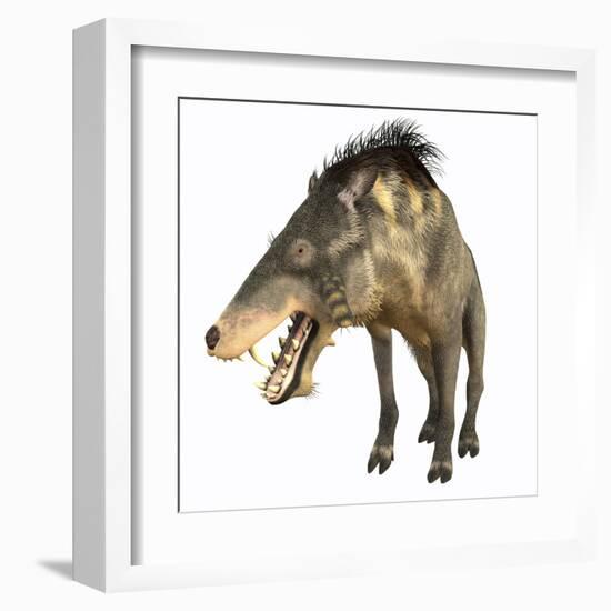 Entelodon, White Background-Stocktrek Images-Framed Art Print