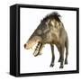 Entelodon, White Background-Stocktrek Images-Framed Stretched Canvas