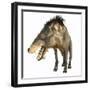 Entelodon, White Background-Stocktrek Images-Framed Art Print