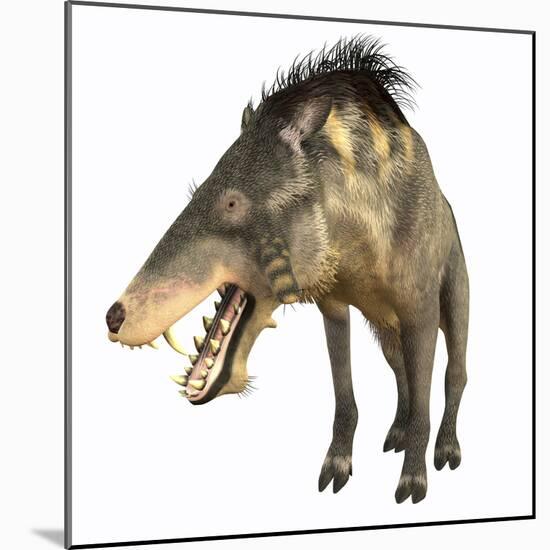 Entelodon, White Background-Stocktrek Images-Mounted Art Print