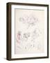 Enter: Cobweb-Arthur Rackham-Framed Giclee Print