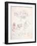 Enter: Cobweb-Arthur Rackham-Framed Giclee Print