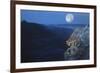 Enter the Badlands-Gordon Semmens-Framed Giclee Print