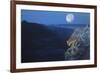 Enter the Badlands-Gordon Semmens-Framed Giclee Print