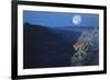 Enter the Badlands-Gordon Semmens-Framed Giclee Print