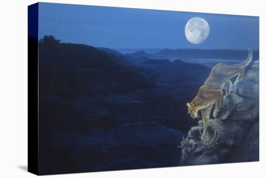 Enter the Badlands-Gordon Semmens-Stretched Canvas