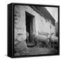 Enter the Flock to the Fold Loncamp. East Elevation-null-Framed Stretched Canvas