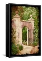 Enter the Garden-Kevin Calaguiro-Framed Stretched Canvas