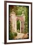 Enter the Garden-Kevin Calaguiro-Framed Art Print