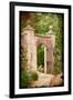 Enter the Garden-Kevin Calaguiro-Framed Art Print