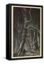 Enter the Two Brothers-Arthur Rackham-Framed Stretched Canvas