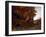 Entering the Forest, circa 1855-Gustave Courbet-Framed Giclee Print