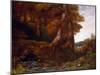 Entering the Forest, circa 1855-Gustave Courbet-Mounted Giclee Print