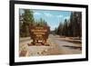 Entering Yellowstone National Park, Montana-null-Framed Art Print