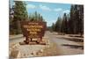 Entering Yellowstone National Park, Montana-null-Mounted Art Print