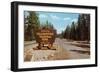 Entering Yellowstone National Park, Montana-null-Framed Art Print