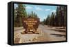 Entering Yellowstone National Park, Montana-null-Framed Stretched Canvas