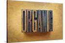 Stretched Canvas