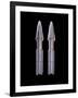 Enterprise Torpedoes, Props Featured in the Nx-01 Armory Set of 'Star Trek: Enterprise', C.2001-null-Framed Giclee Print